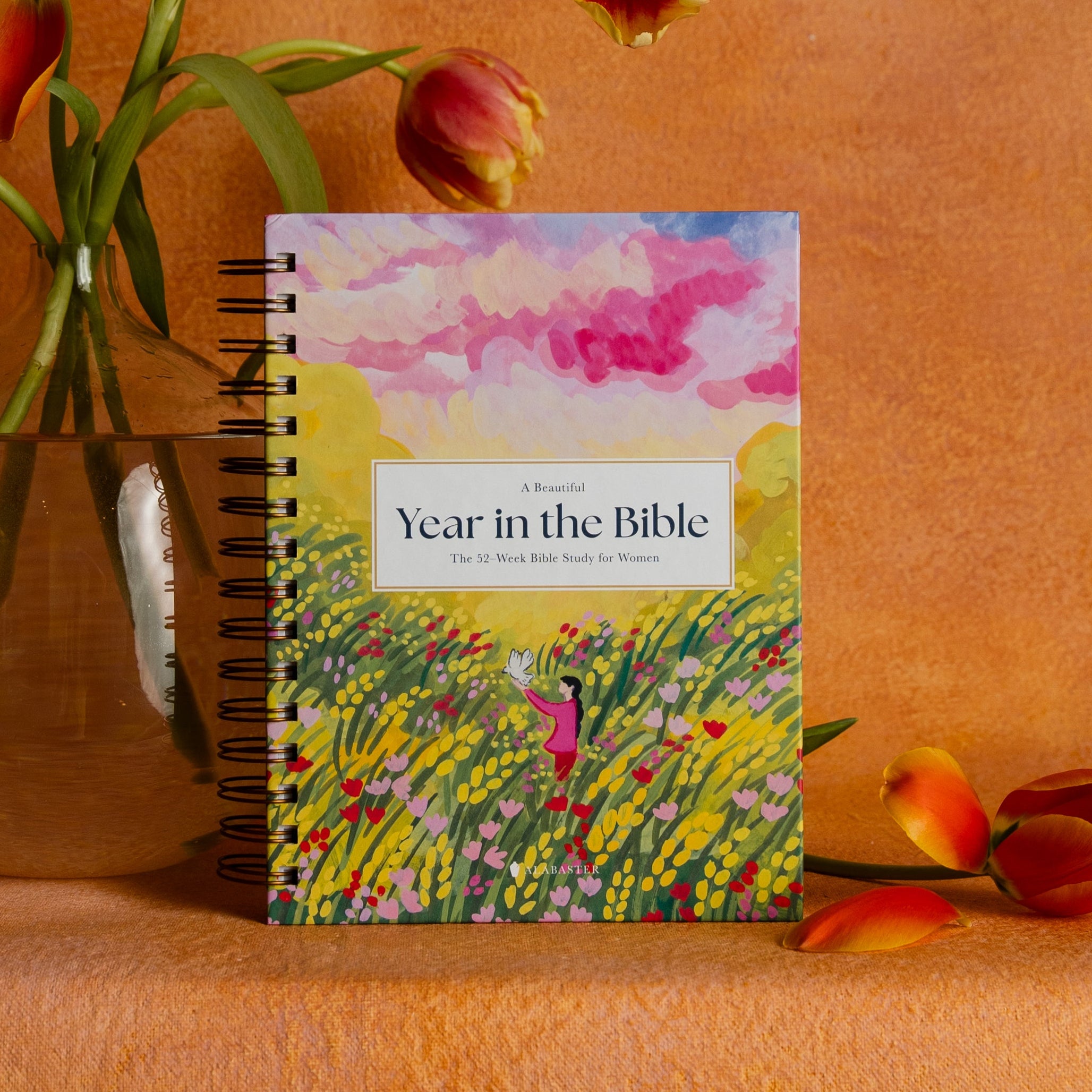 A Beautiful Year in the Bible: The 52-Week Bible Study for Women