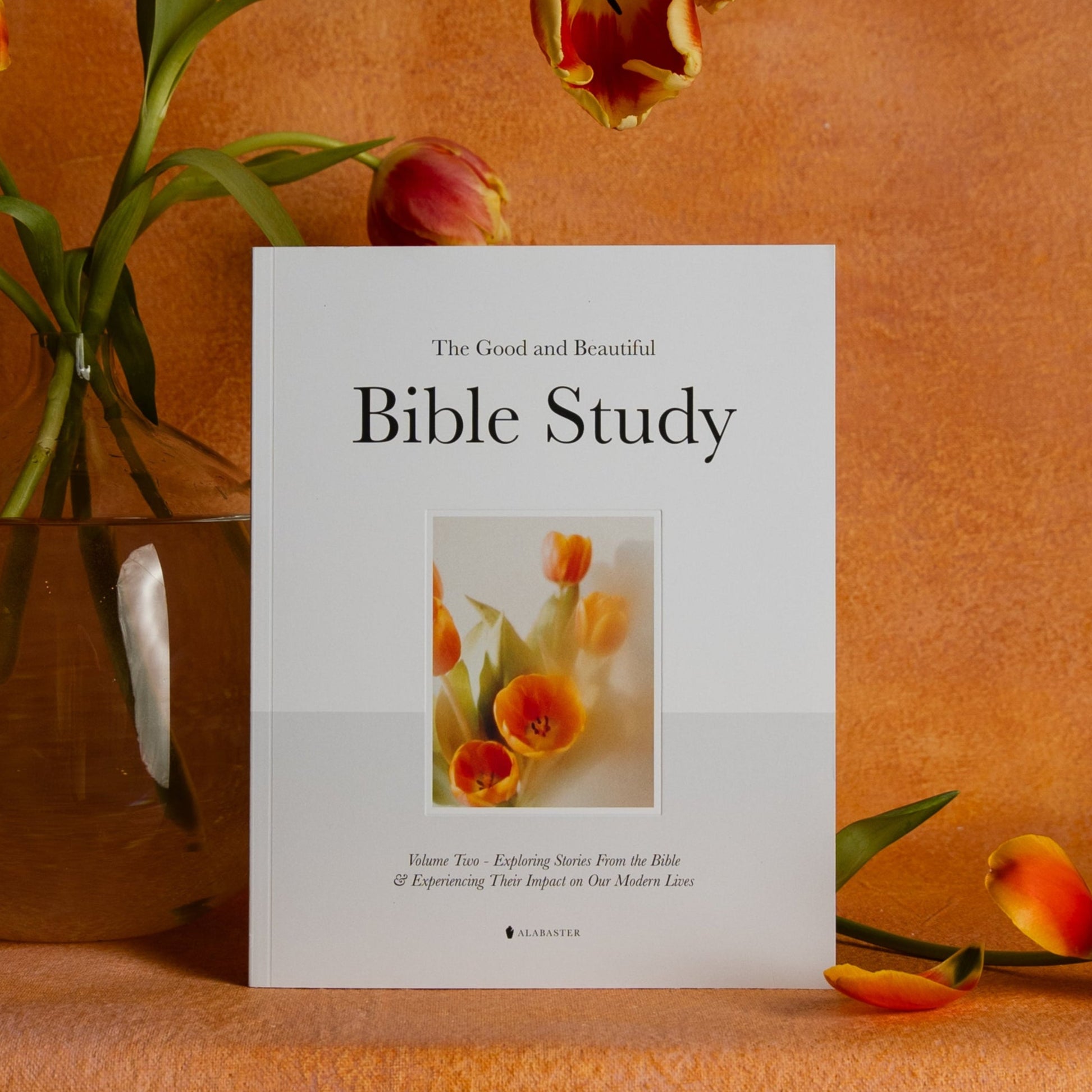 The Good and Beautiful Bible Study - Volume 2