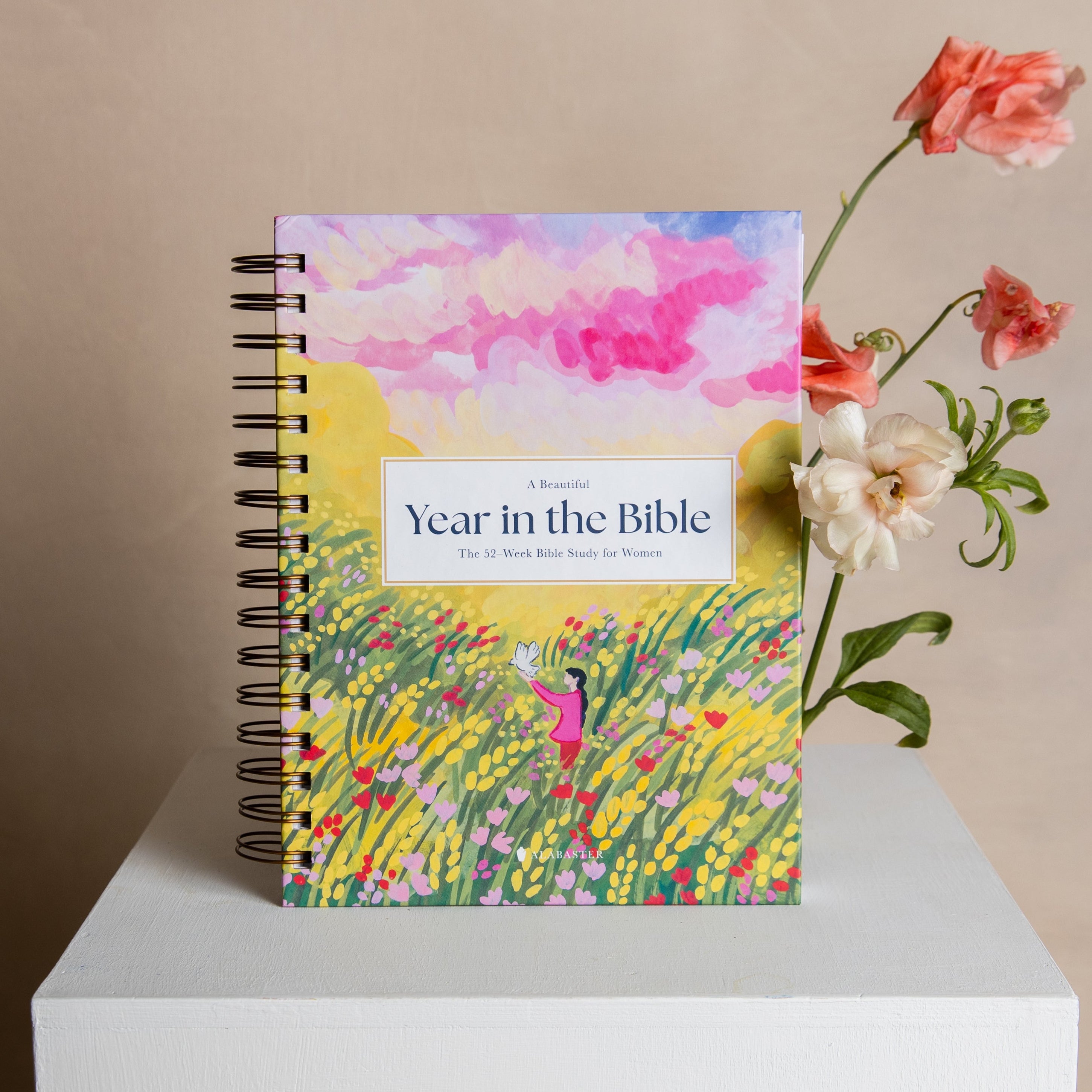 A Beautiful Year in the Bible: The 52-Week Bible Study for Women