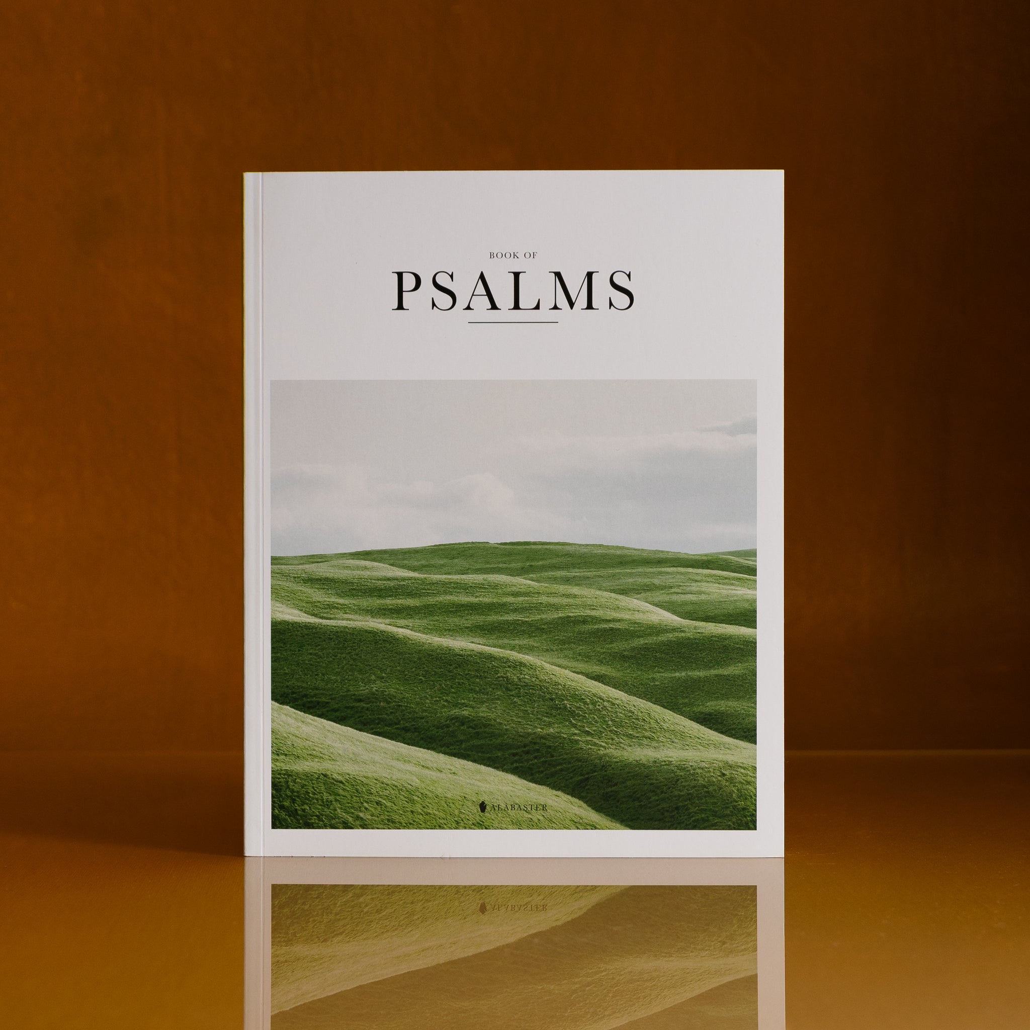 The Book of Psalms NLT, KJV and Spanish NTV Bible