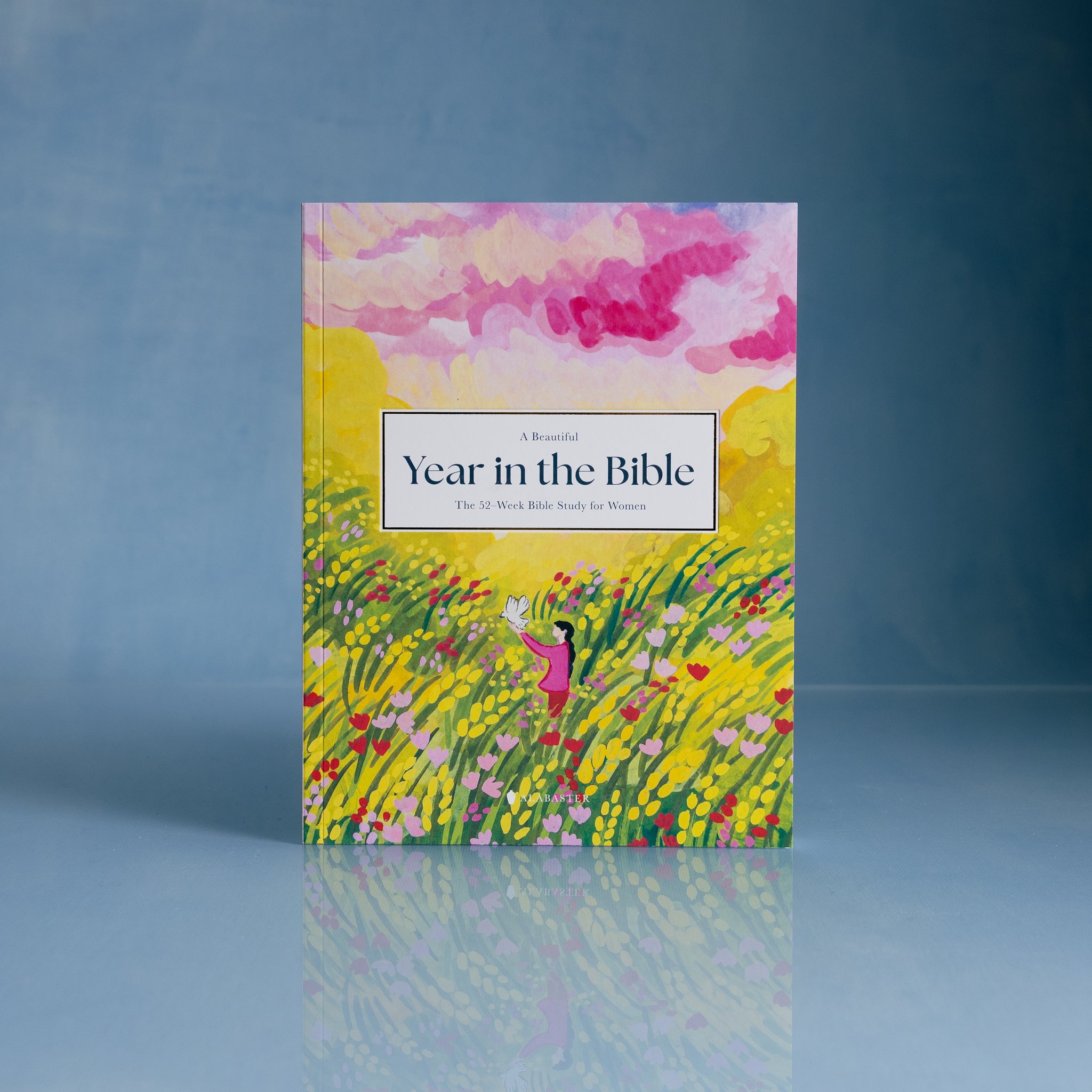 A beautiful year in the bible the 52 week bible study for women