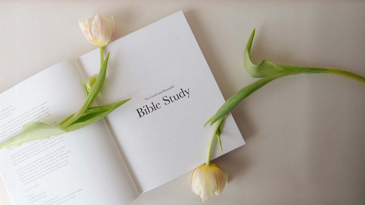 The Good and Beautiful Bible Study - Volume 1