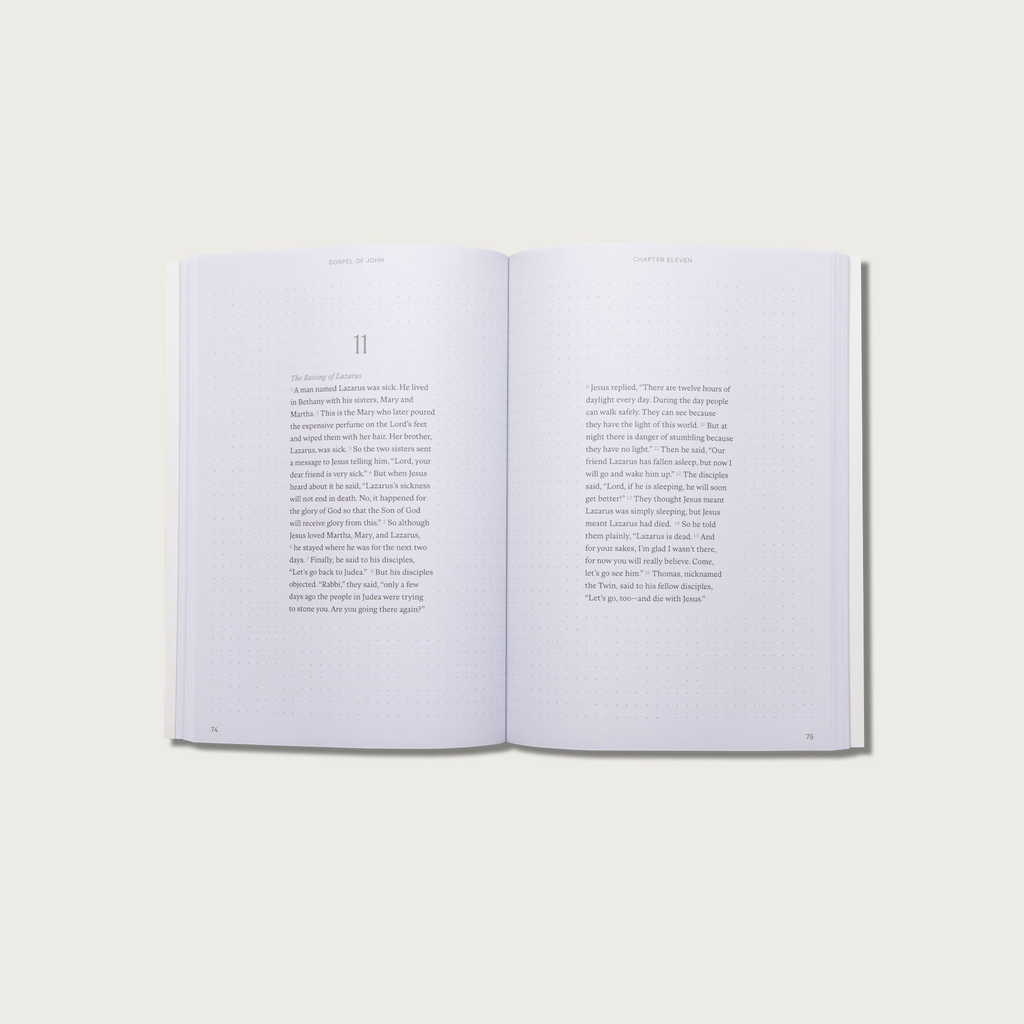 The Gospels: Journal Bibles