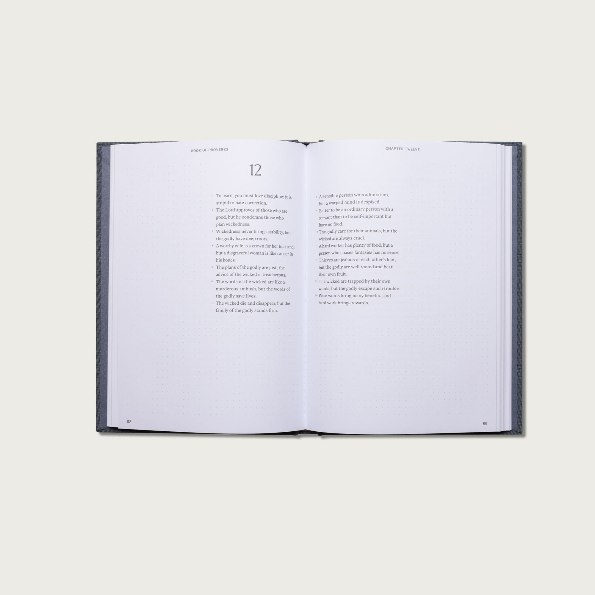 Wisdom Pairing: Journal Bibles
