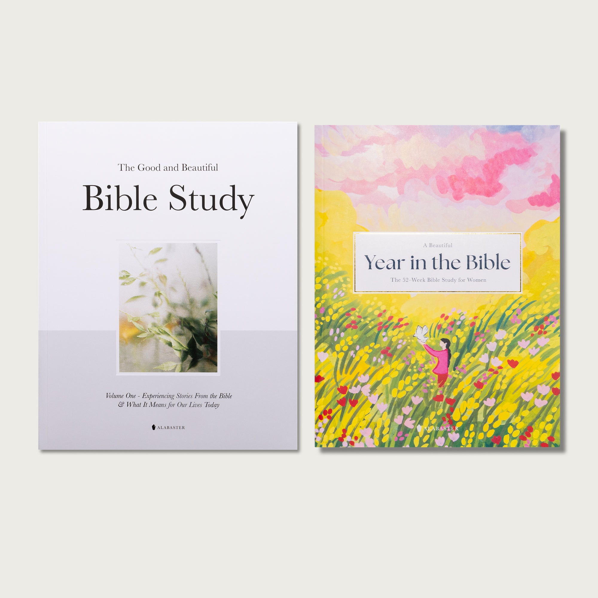 Bible Study Gift Set