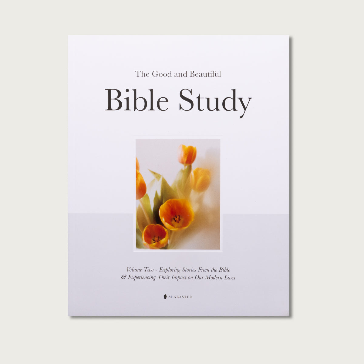 Beautiful Study Guide The Good and Beautiful Bible Study - Volume 2