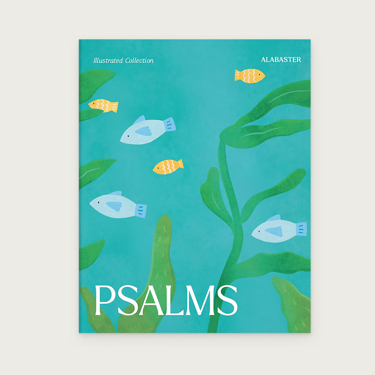 Psalms Illustrated Bible