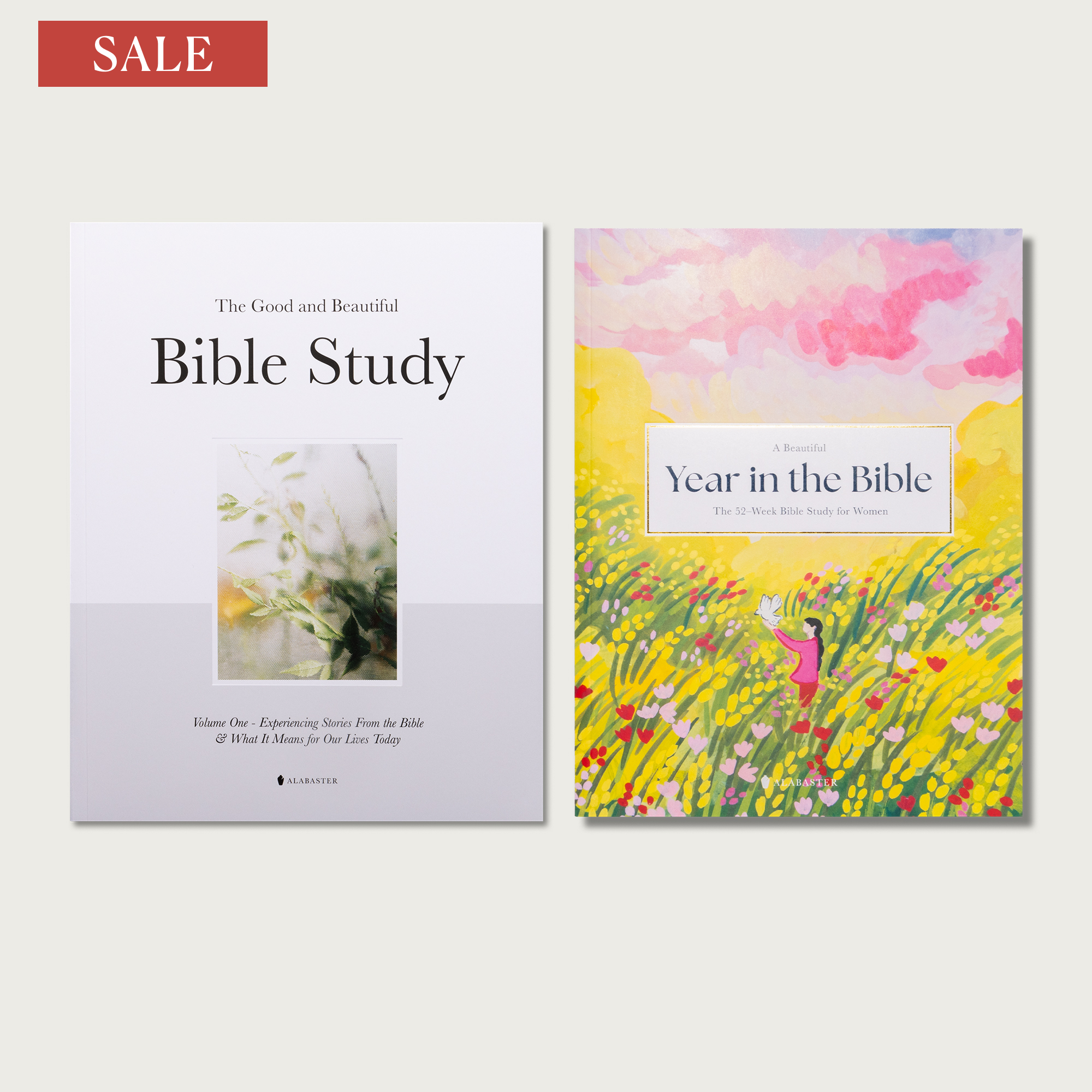 Bible Study Gift Set