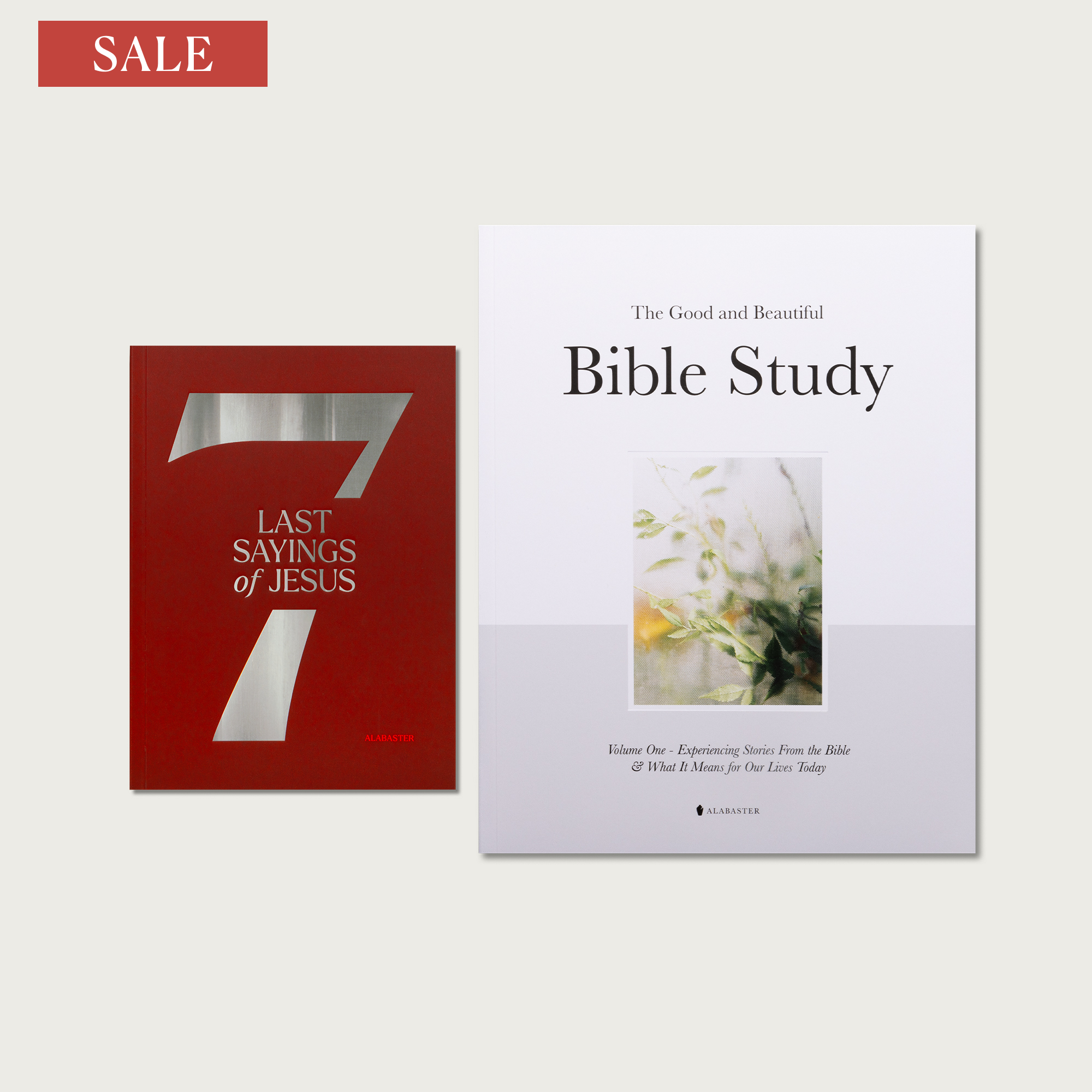 Bible Study and Devotional Pairing