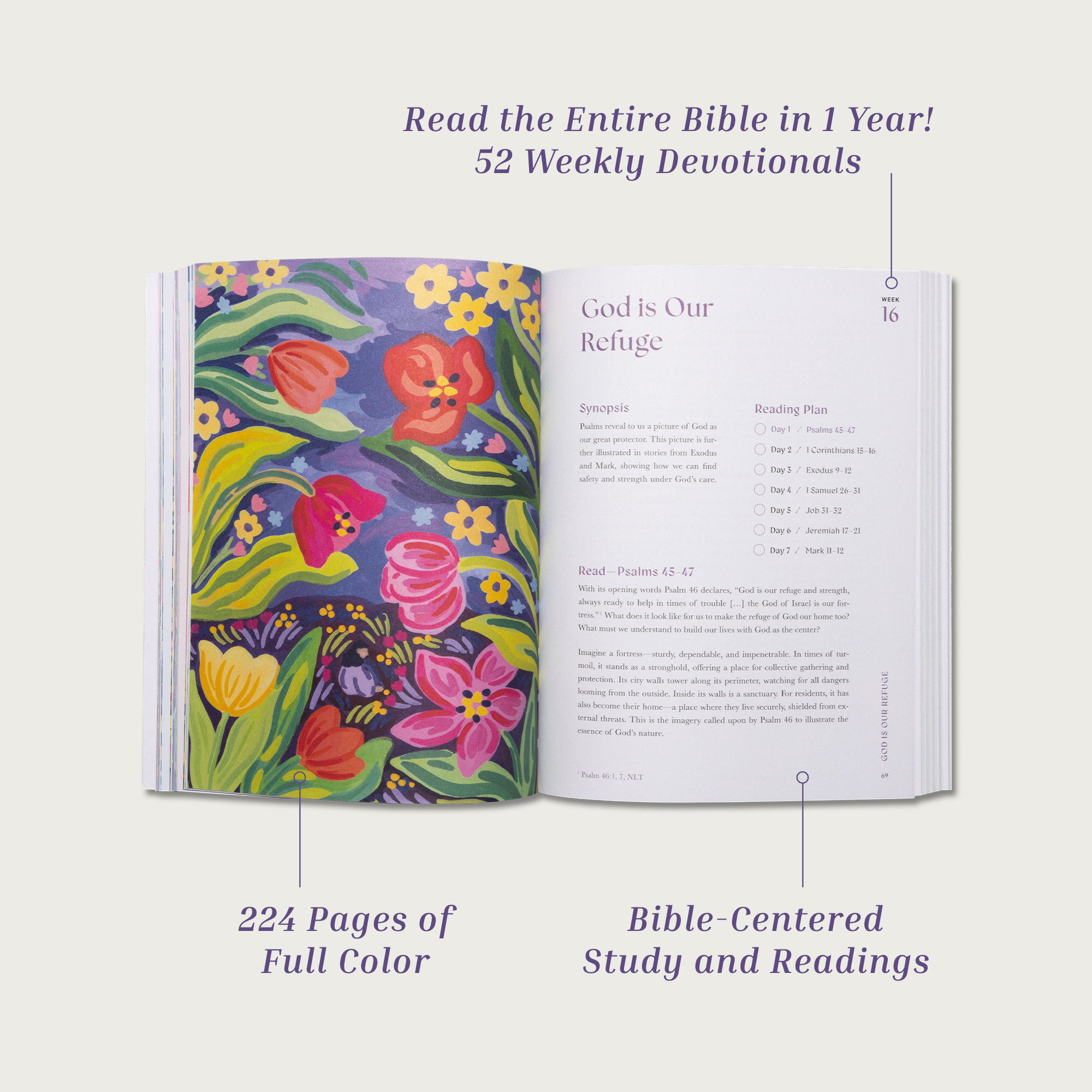 A Beautiful Year in the Bible: The 52-Week Bible Study for Women
