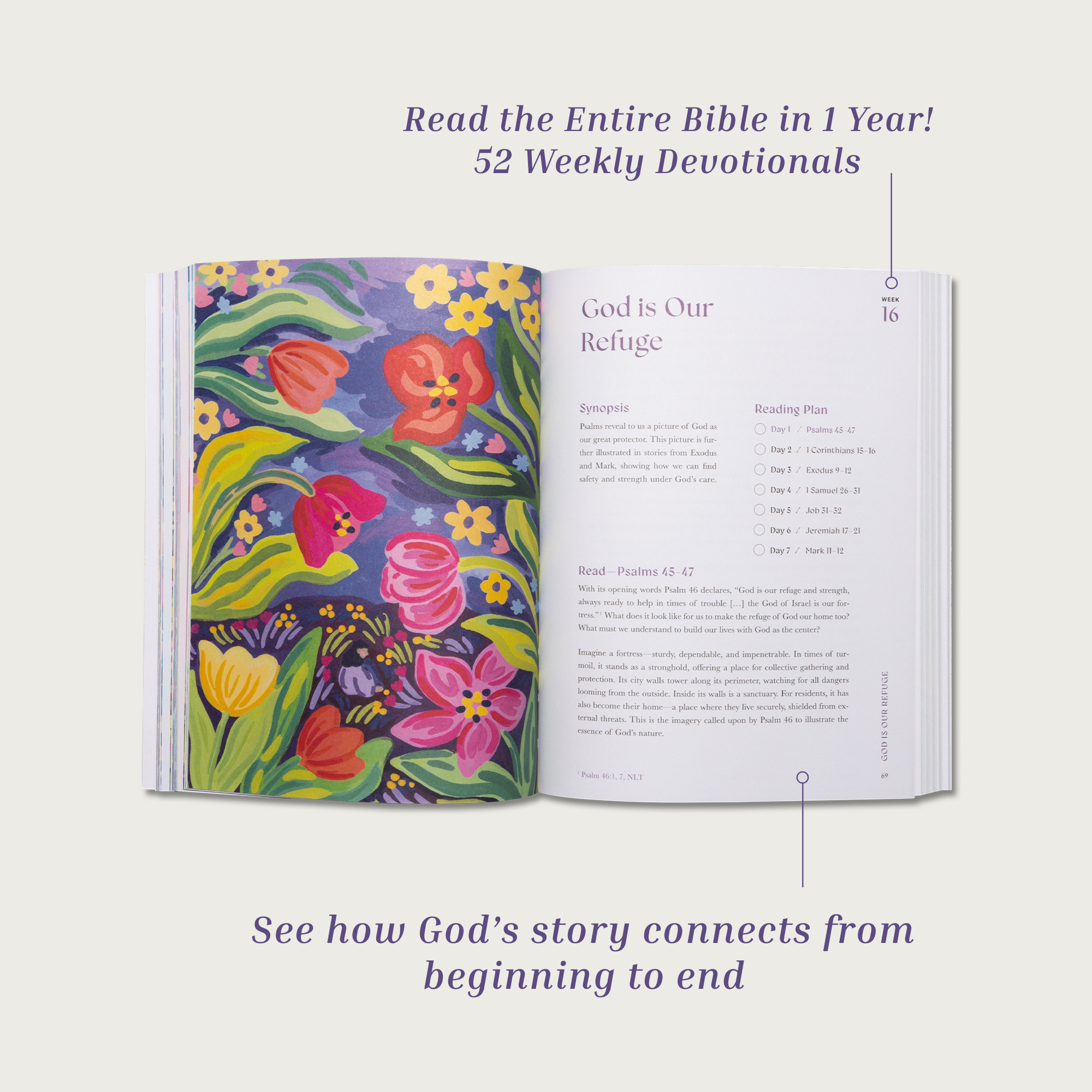 A Beautiful Year in the Bible: The 52-Week Bible Study for Women