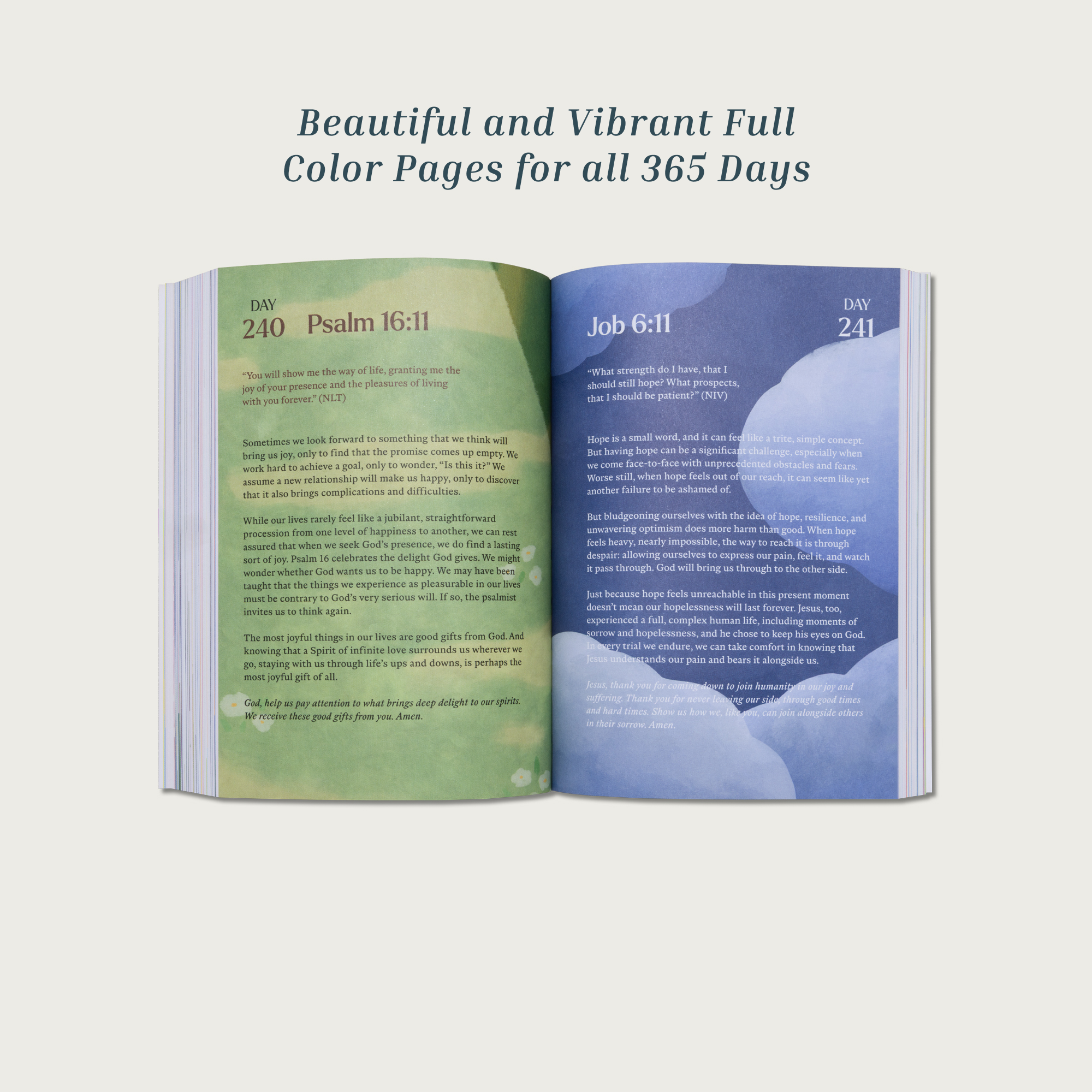 A Beautiful Year with Jesus: The 365 Day Bible Devotional