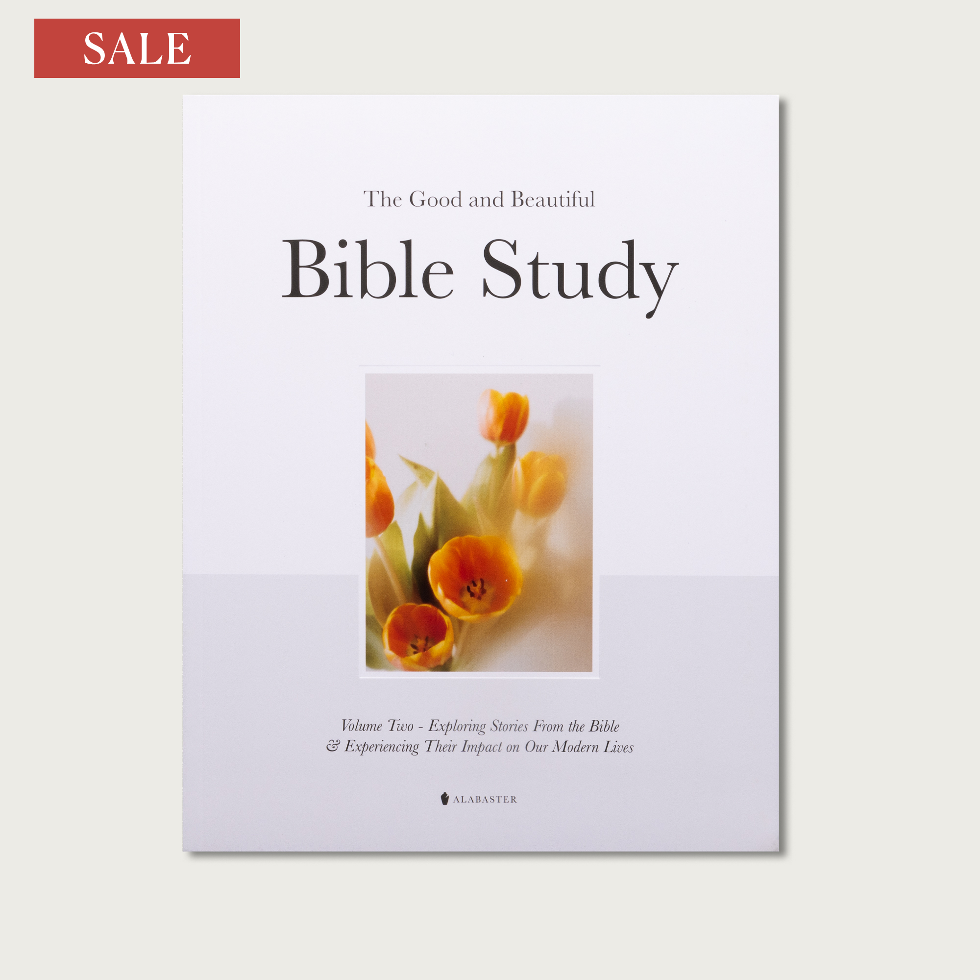 The Good and Beautiful Bible Study - Volume 2