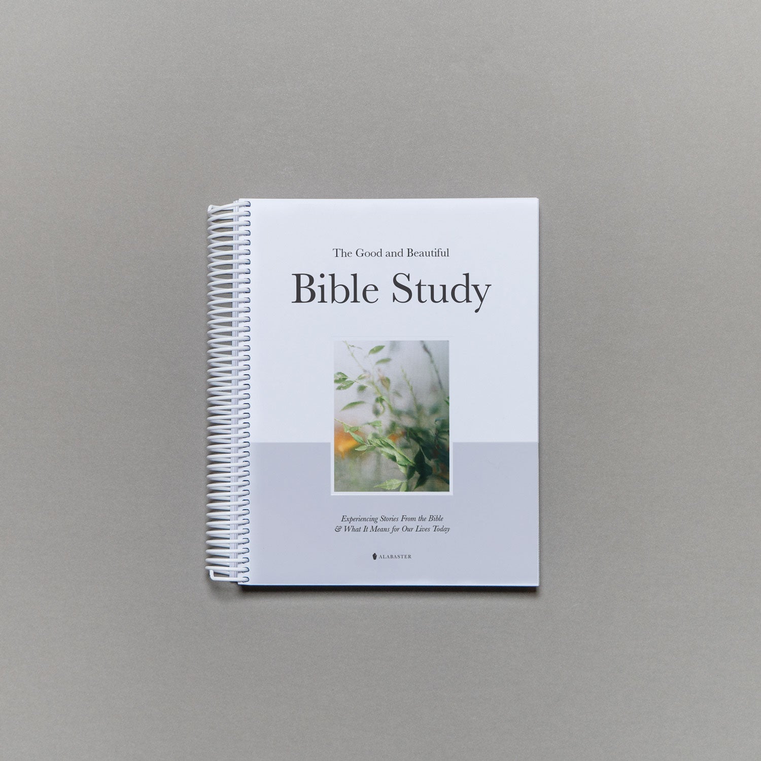 The Good and Beautiful Bible Study - Volume 1 – Alabaster Co