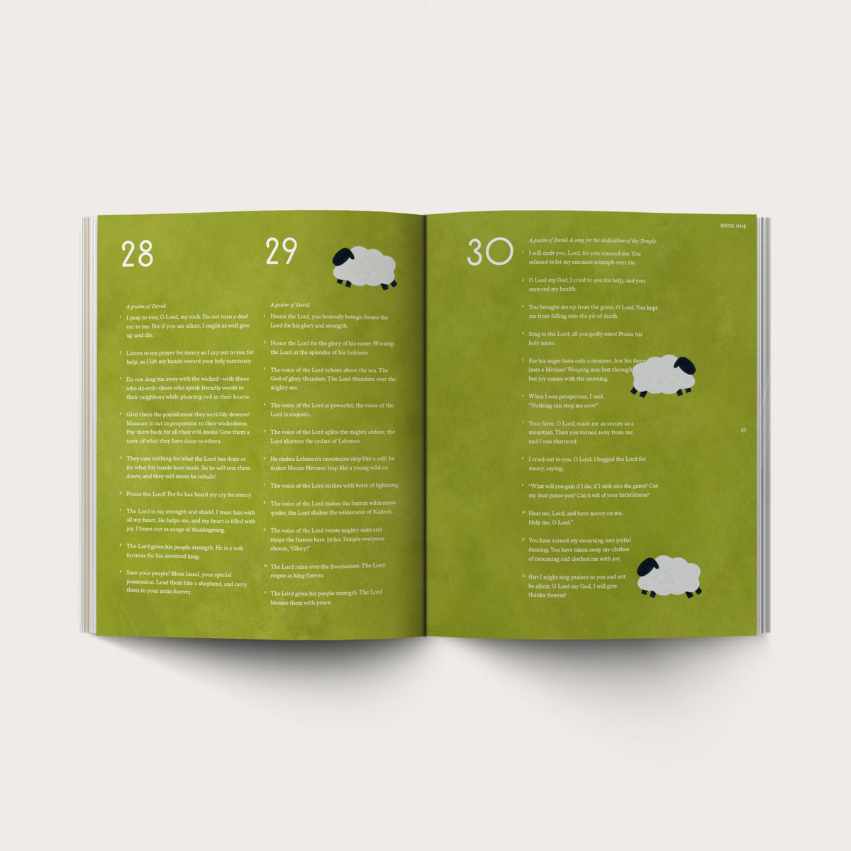 Psalms Illustrated Bible
