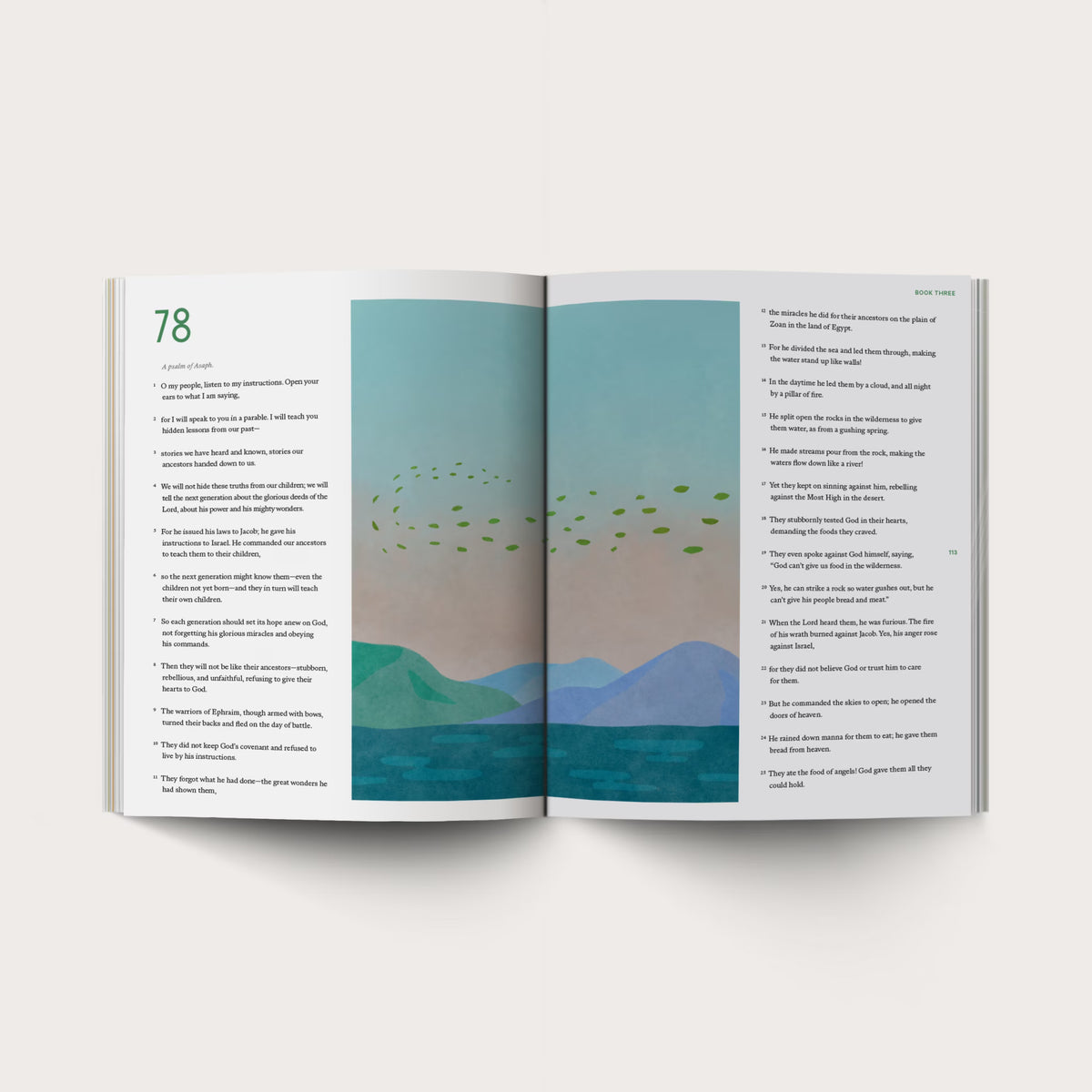 Psalms Illustrated Bible