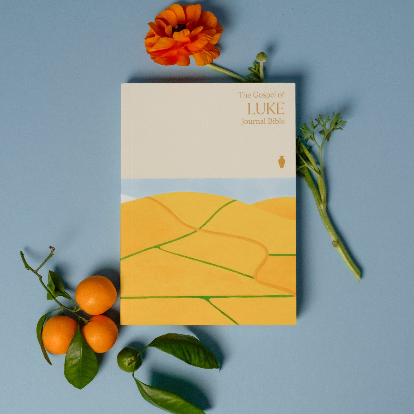 The Gospel of Luke Journal Bible