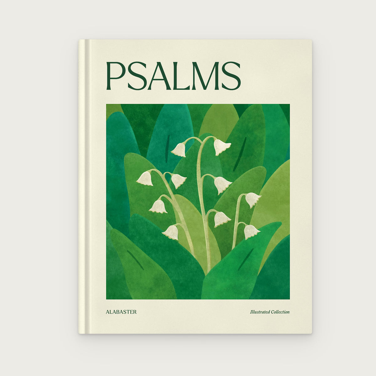 Psalms Illustrated Bible