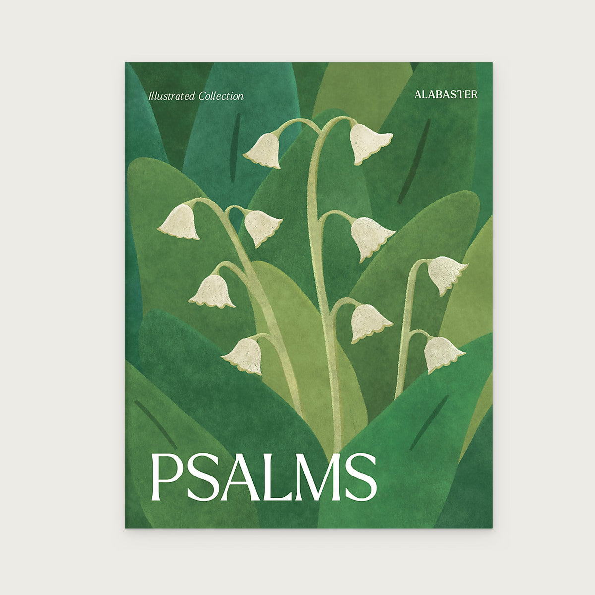 Psalms Illustrated Bible
