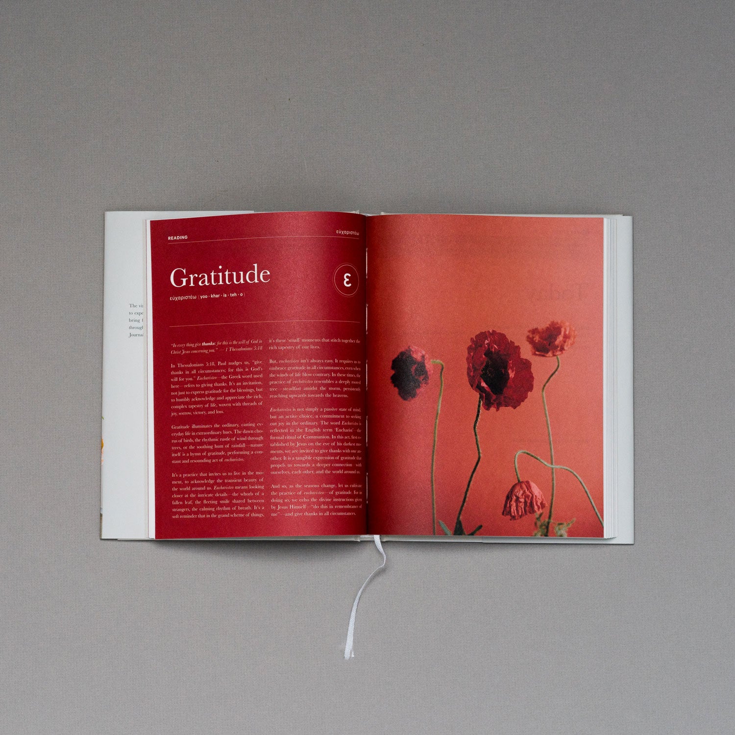 The Prayer Journal – Alabaster Co