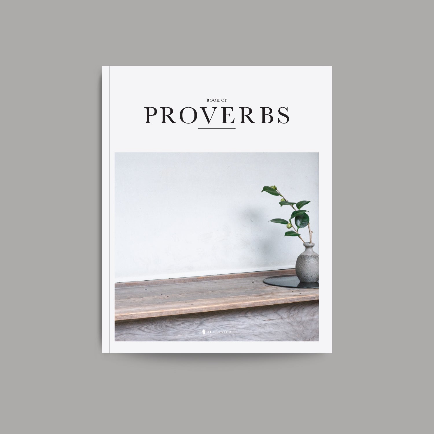 The Book of Proverbs | NLT Bible | Alabaster Co