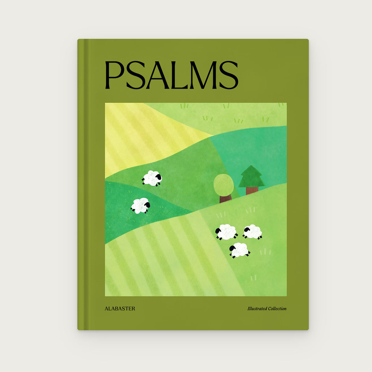 Psalms Illustrated Bible