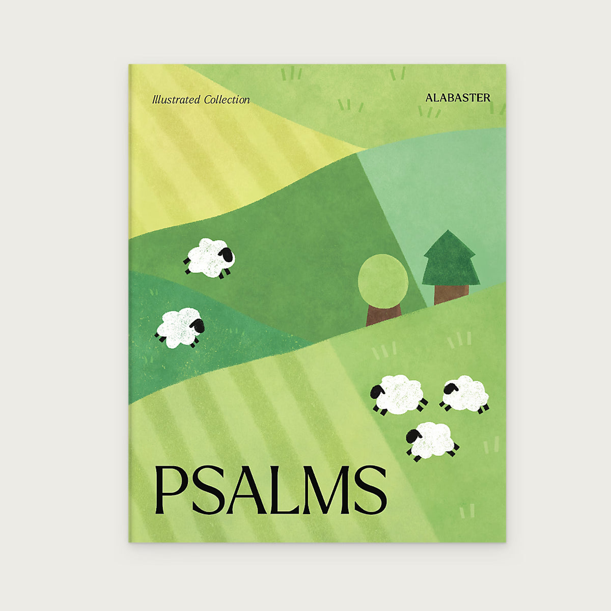 Psalms Illustrated Bible