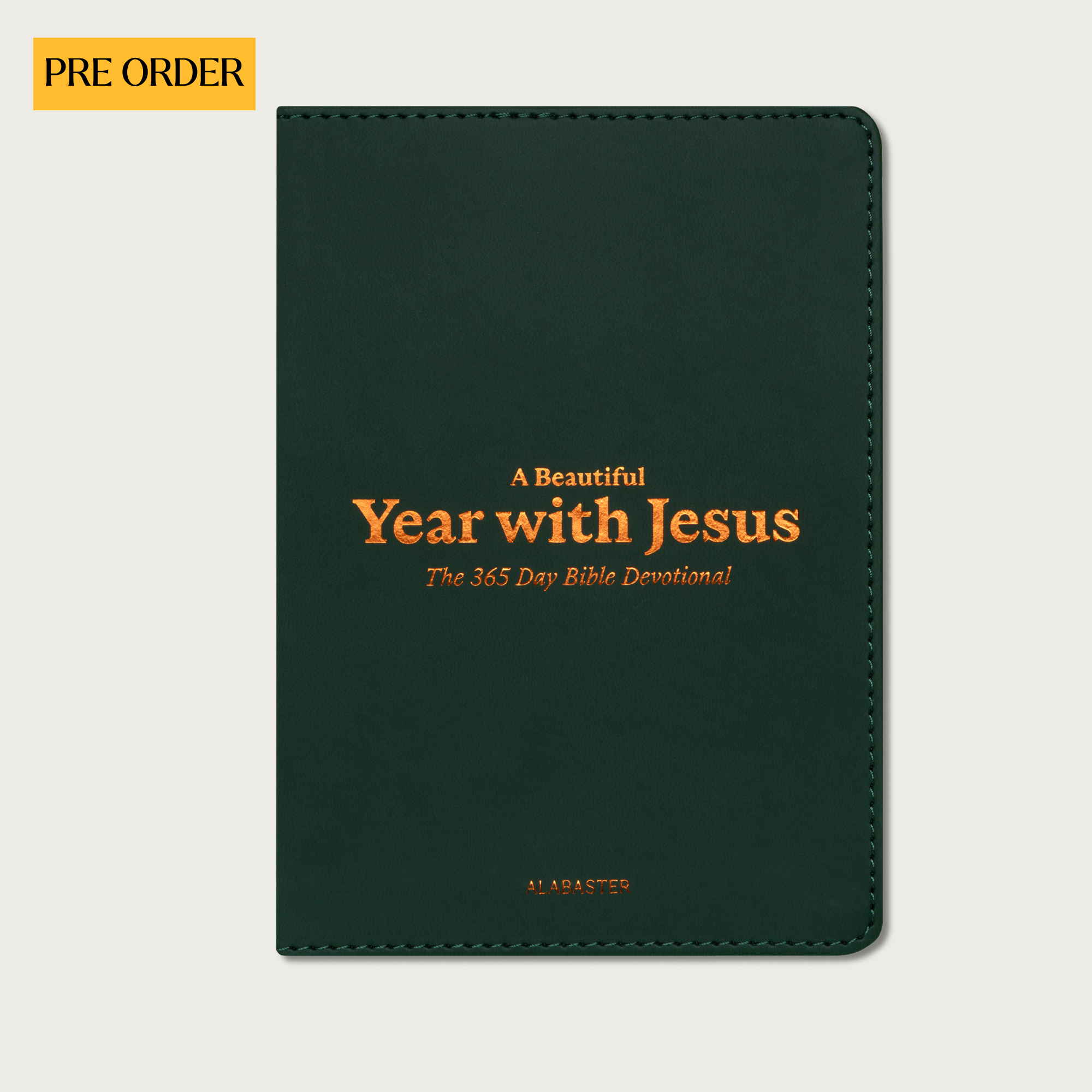A Beautiful Year with Jesus: The 365 Day Bible Devotional