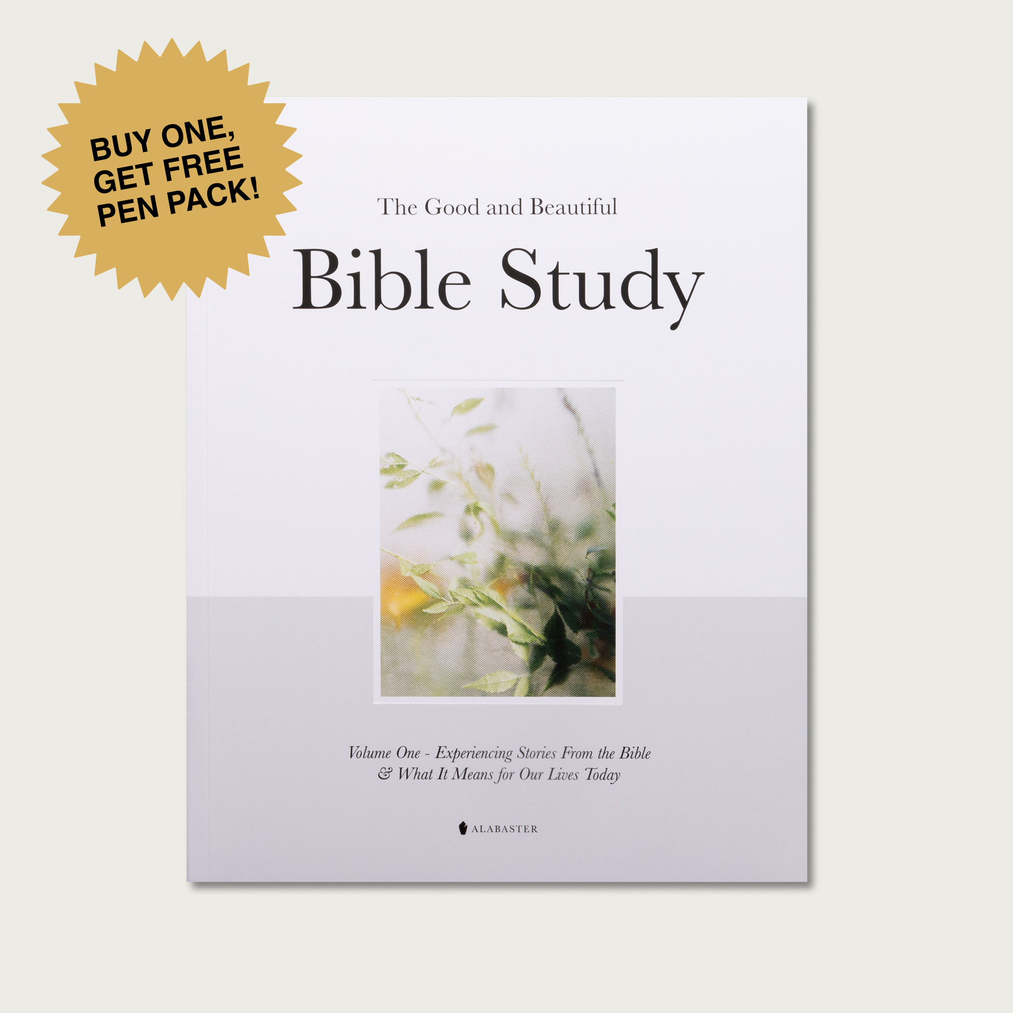 The Good and Beautiful Bible Study - Volume 1