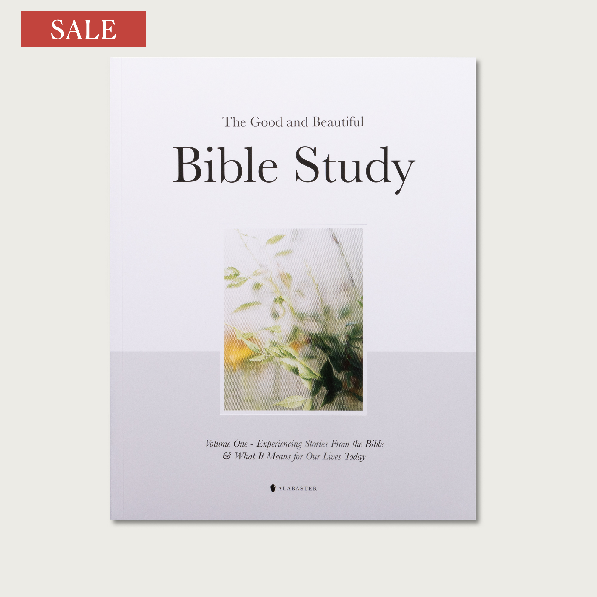 The Good and Beautiful Bible Study - Volume 1