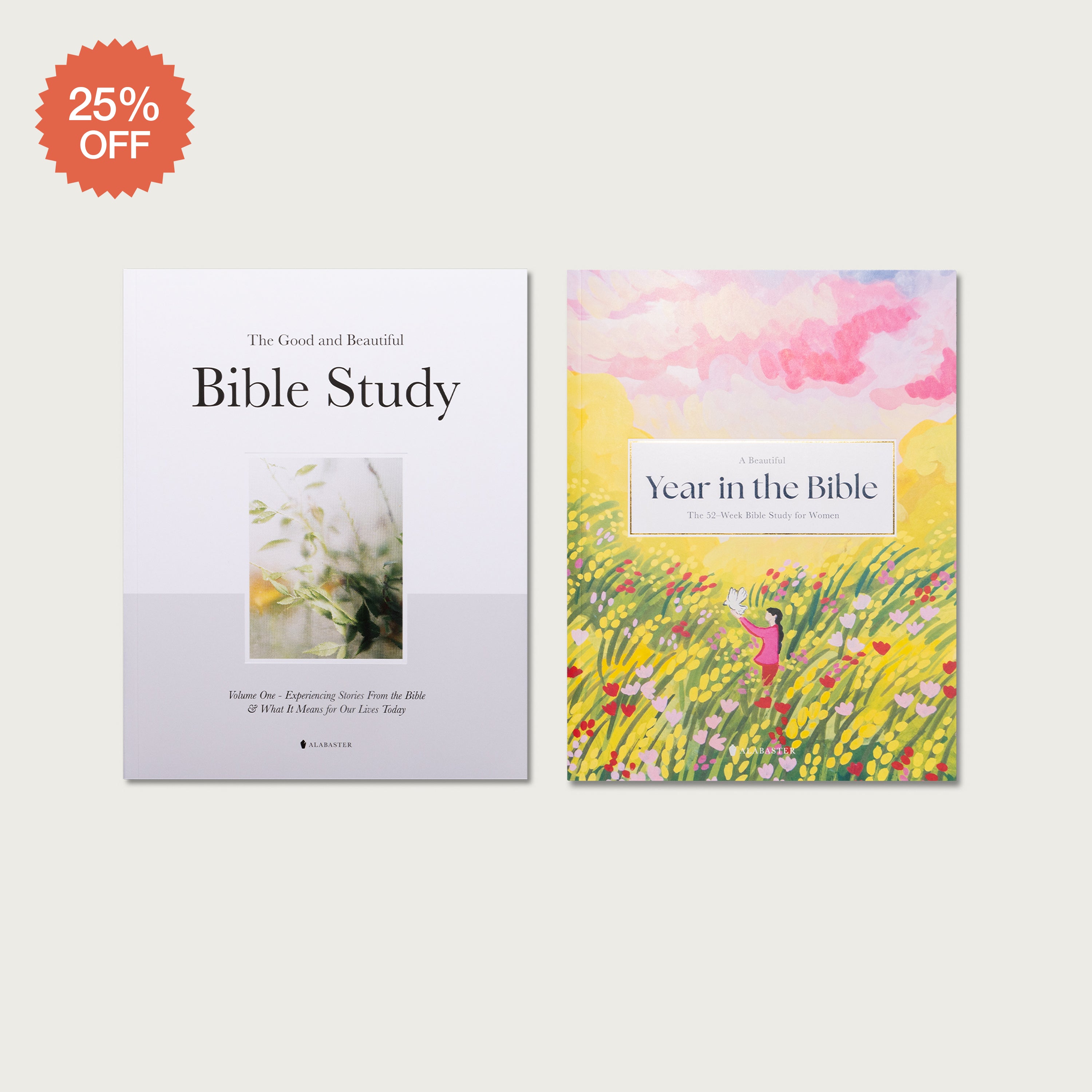 Bible Study Gift Set