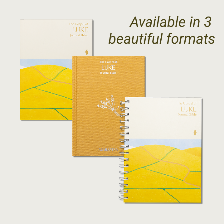 The Gospel of Luke Journal Bible