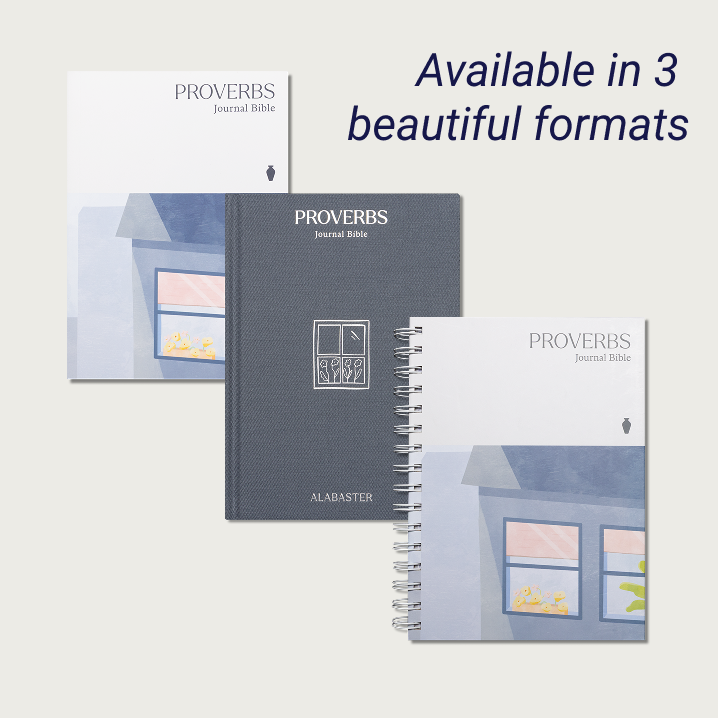 The Book of Proverbs Journal Bible