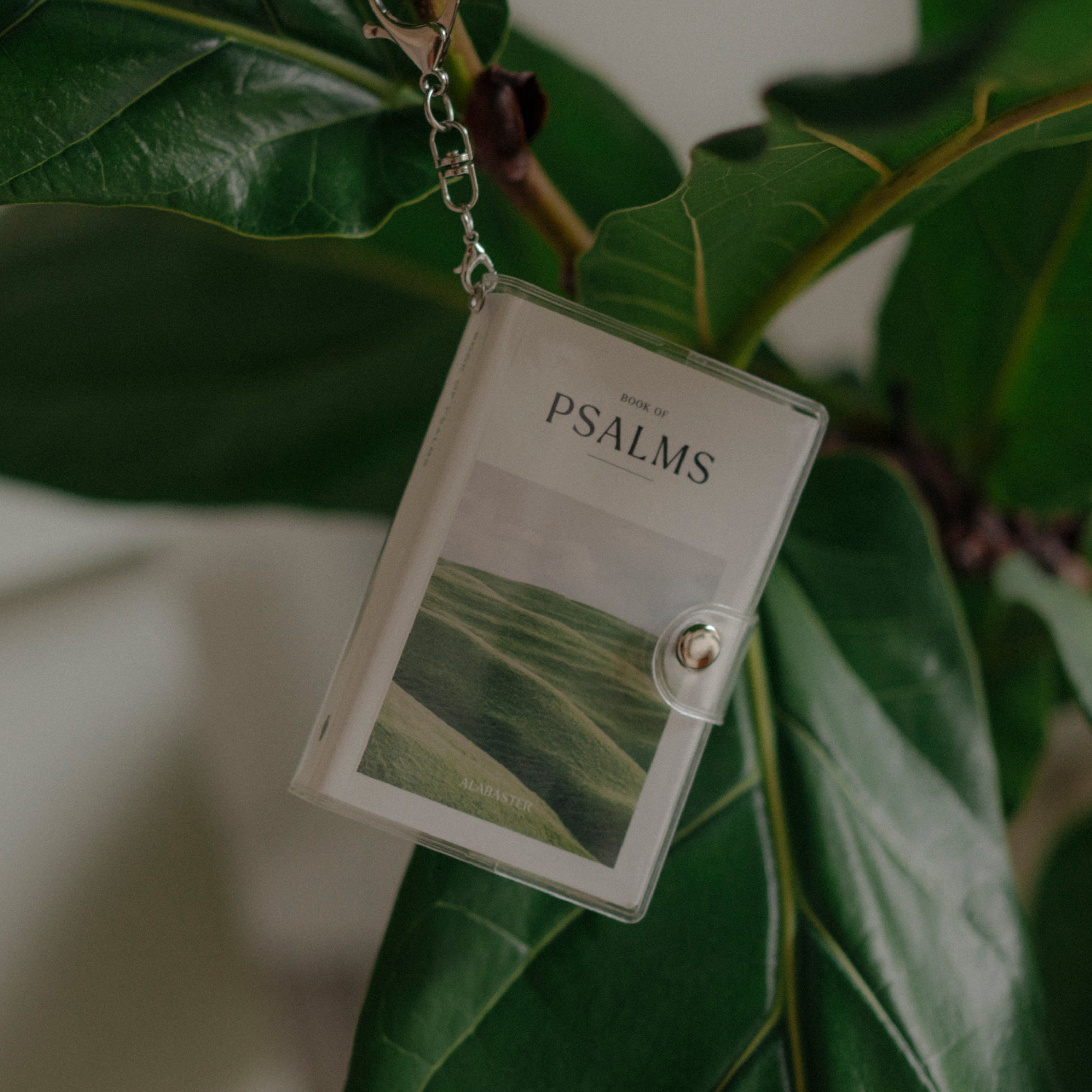 Mini Psalms Keychain Bundle
