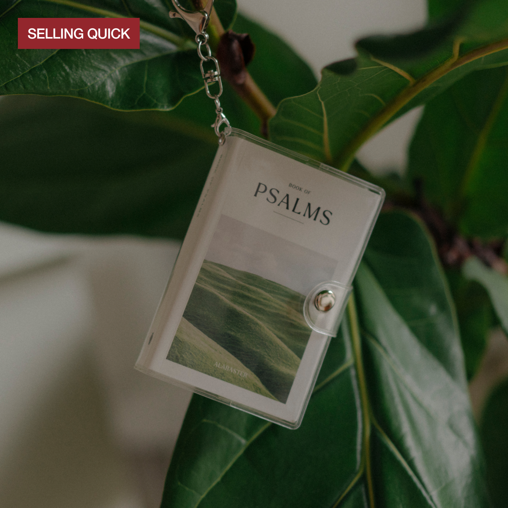 Mini Psalms Keychain Bundle