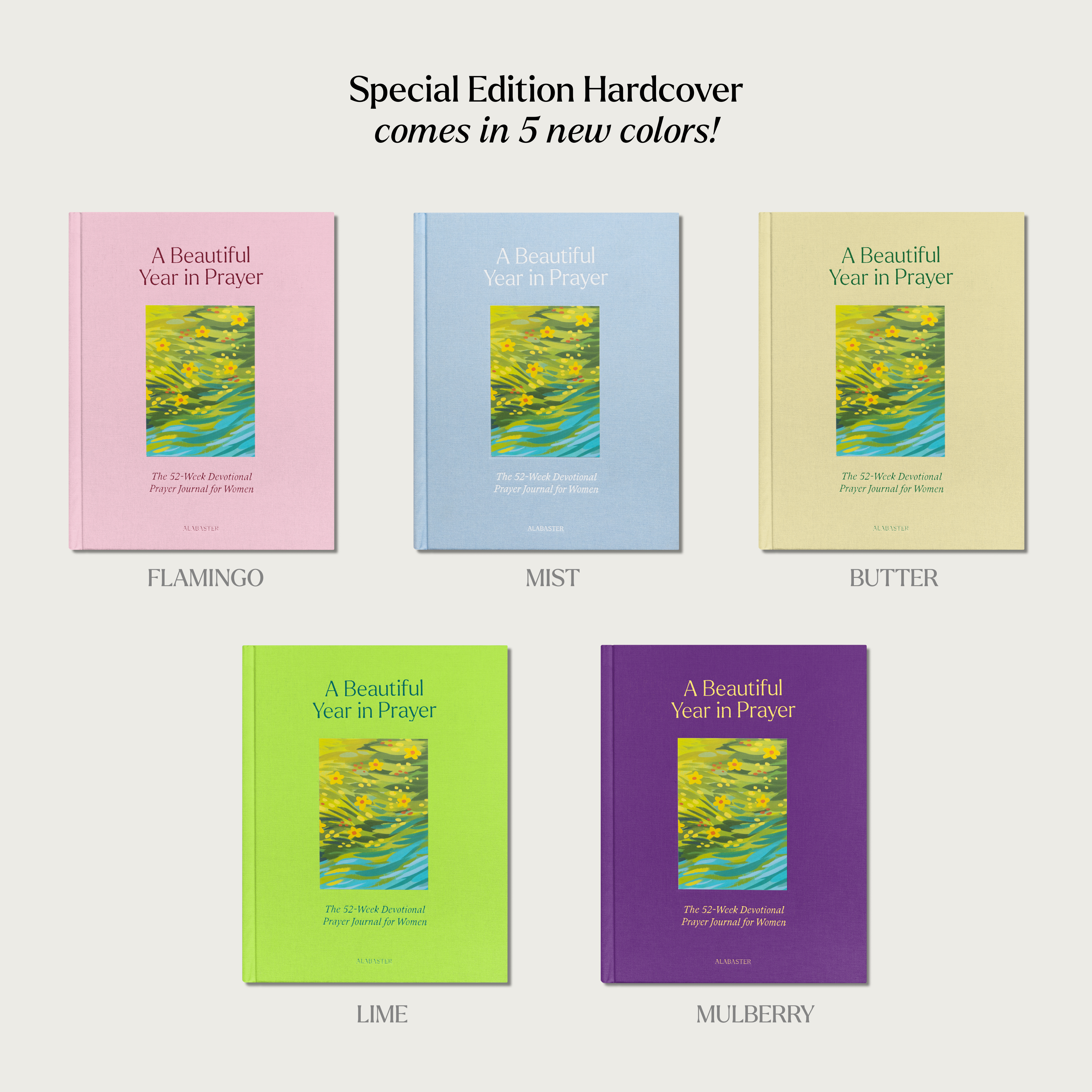 A Beautiful Year in Prayer: The 52 Week Devotional Prayer Journal for Women